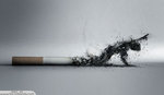 The Smoke.jpg
